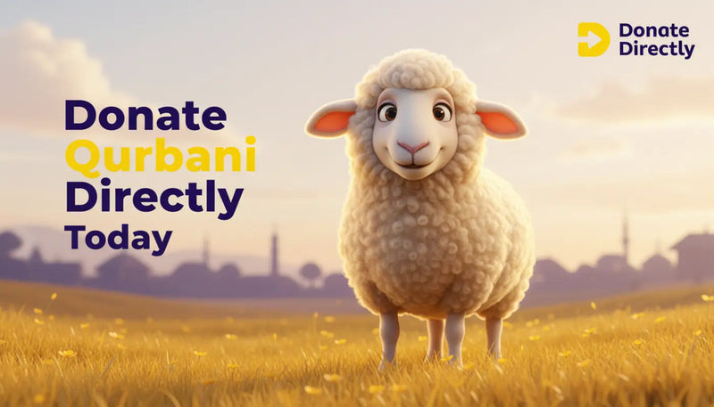 How to Donate Qurbani Online: A Step-by-Step Guide for UK Muslims (2026)