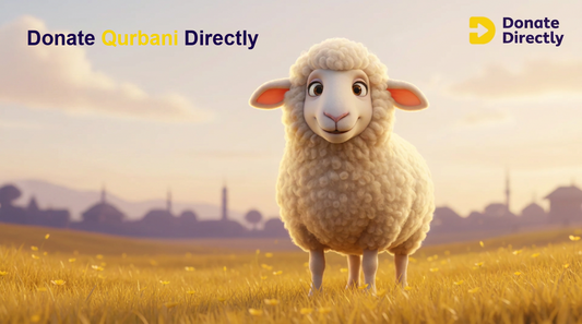 Sheep mascot in bright meadow promoting online Qurbani for UK Muslims.