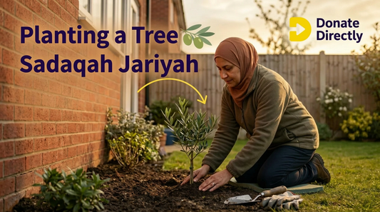 Is Planting a Tree Sadaqah Jariyah - Uk Muslim Guide