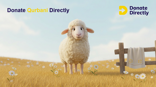 Friendly sheep mascot in a bright meadow for a Donate Directly Qurbani 2026 guide