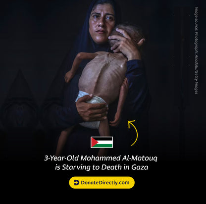 Gaza Monthly Food Appeal