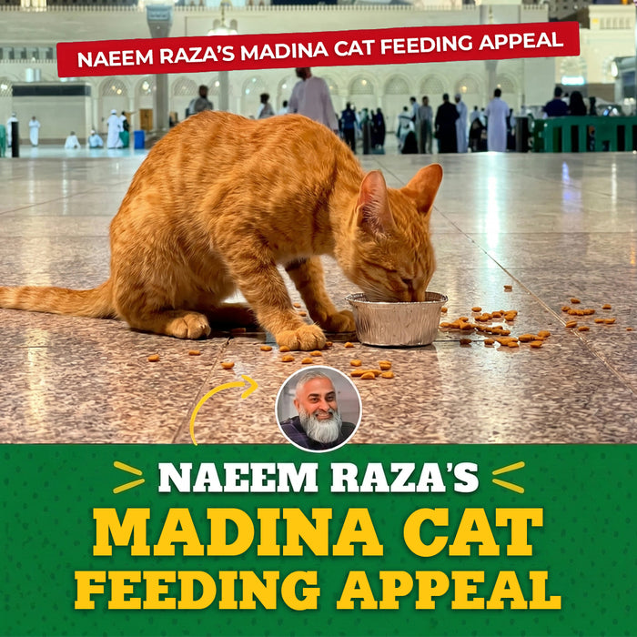 Naeem Raza – Cats of Madina Sanctuary Appeal